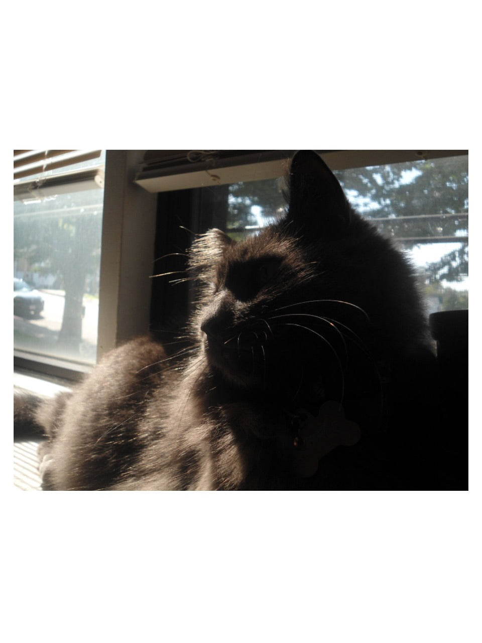 Cyber-shot DSC-W510